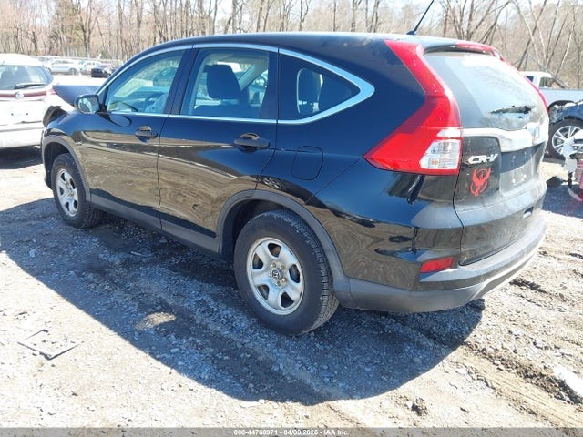 Picture 3