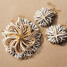 Set orecchini spilla corallo smalto tono oro clip su metà secolo vintage