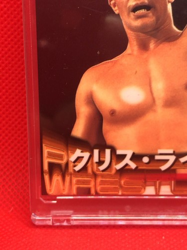 CHRIS LYTLE PANCRASE Pro-Wrestling Cards BBM 1999 with loader rare - Picture 4 of 10