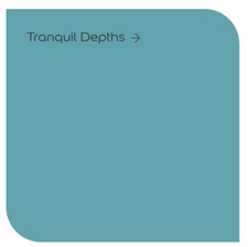 Dulux Satinwood for wood and metal 1L wide range of colours (tinted to order)