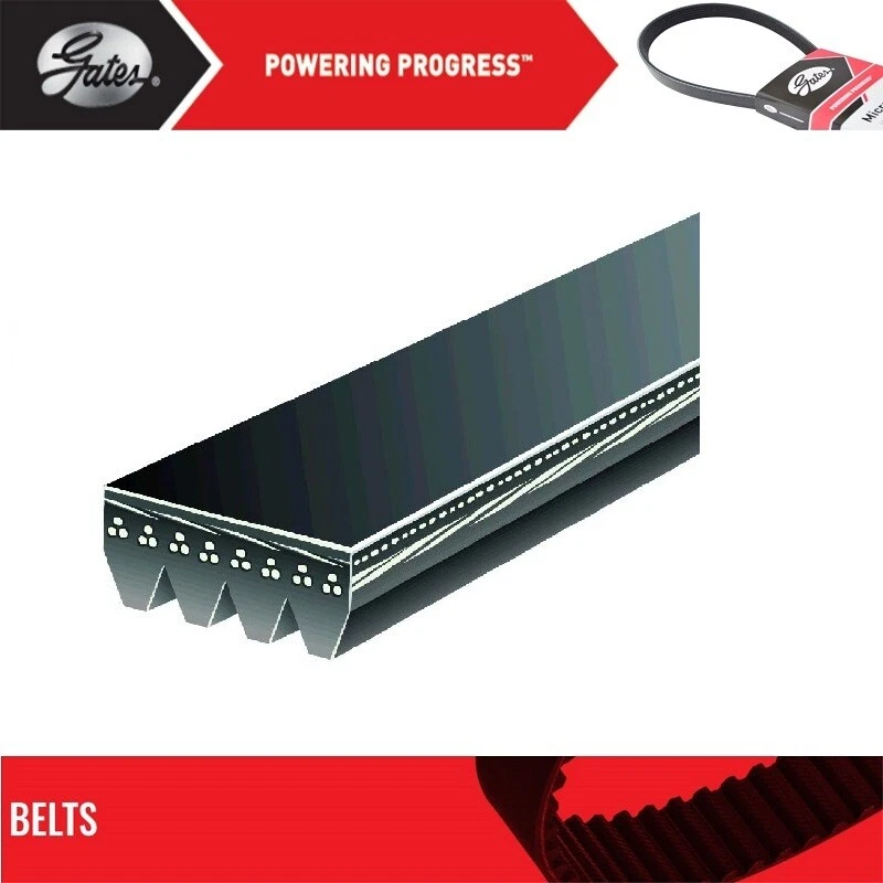Cinturón de ventilador y alternador Gates para ASUNA SUNRUNNER L4-1,6 L 1992-1993 Foto 2 de 4