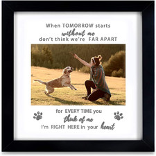Pet Memorial Picture Frame, Sympathy Loss Gift, Dog Cat Remembrance Keepsake Tri