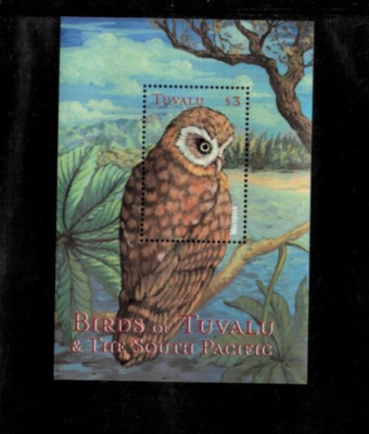 Tuvalu 2000 - Birds Owls - Souvenir Stamp Sheet - Scott #835 - MNH | eBay
