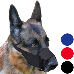 labrador muzzle