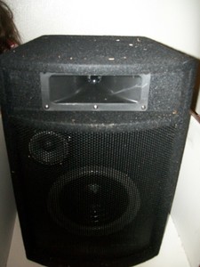 acoustic audio pa speakers