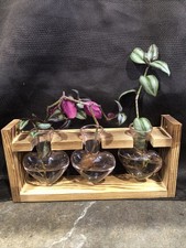 3 Heart Vase Wood/ Glass Propagation Station