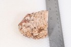 Morocco Agate lapidary 6.5 oz  Nodule faced rough lot Ar — photo 4