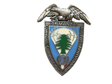 INSIGNE REGIMENT PARACHUTISTE 14° RPCS + 420° DSL CCOS OPEX LIBAN 9° MANDAT