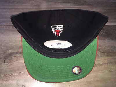 TISA Bulls SnapBack cap ブルズ NBA supreme MITCHELL AND NESS NBA