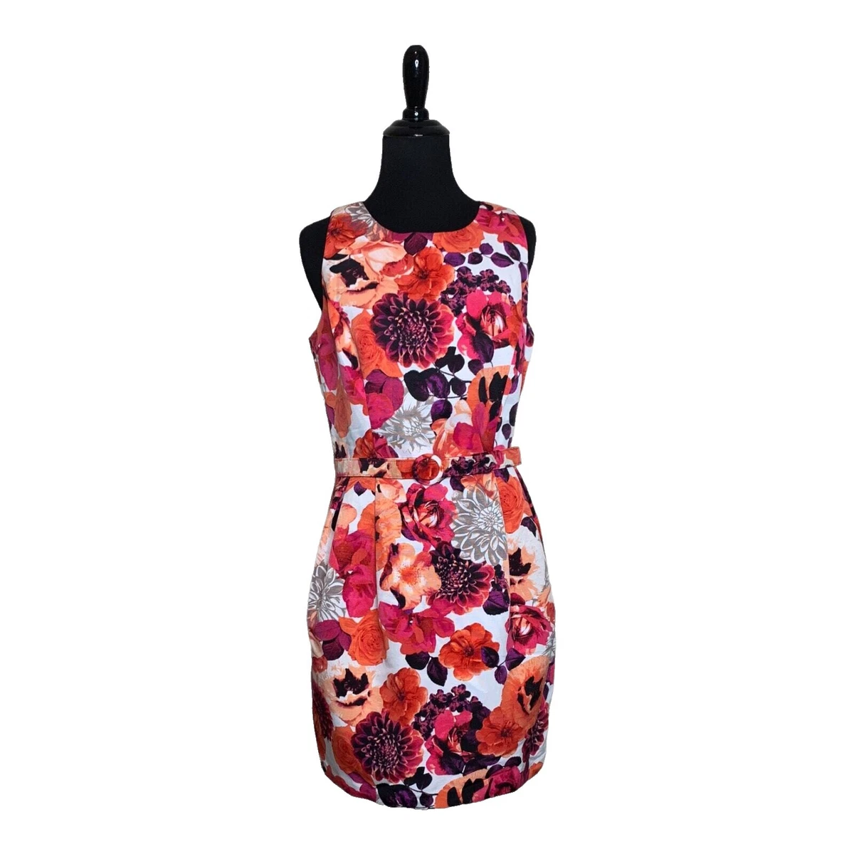 sachin and babi light blue dress Eliza J Floral Dresses for Women