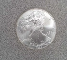 1999 1 oz. .999 American Silver Eagle (202)
