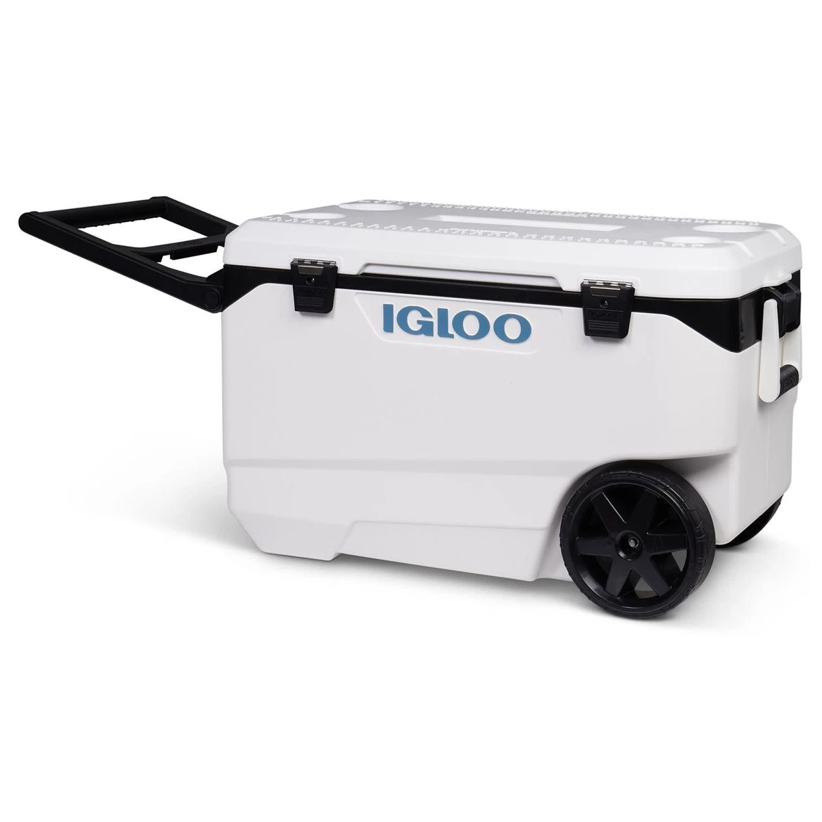 Igloo hotsell maxcold latitude