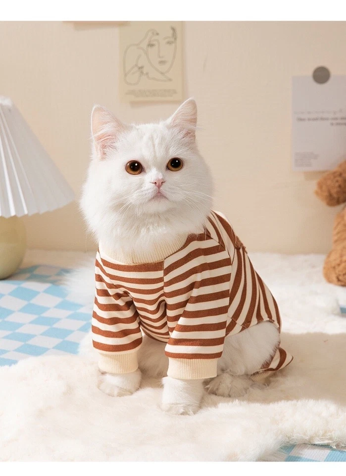 猫可爱熊秋冬保暖家居服 — 第 3/4 张图片