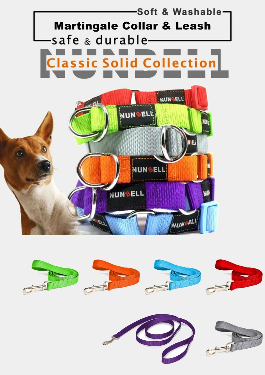 Martingale Dog Collar n Leash Nylon Pet Training Combo Multicolour
