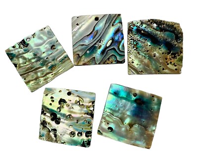 Menge 5 große Abalone Perlmutt Muschel Charms Halskette Anhänger quadratischer Schmuck 30 mm