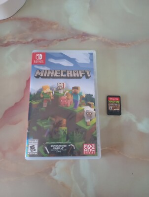 Minecraft For Nintendo 