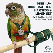 Adjustable Parrot Harness and Leash Set