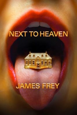 Next to Heaven : A Novel Hardcover James Frey