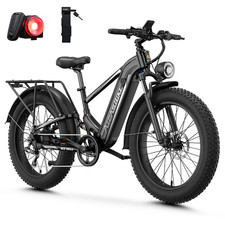 Off-road 26 Fat Tire Hydr Air Susp 1800w 36mph Adult E-bike 85mi Mountain
