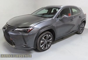 2023 Lexus UX 250h 