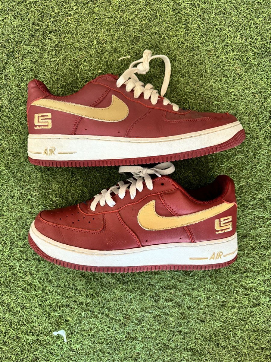 nike air force 1 lebron james edition