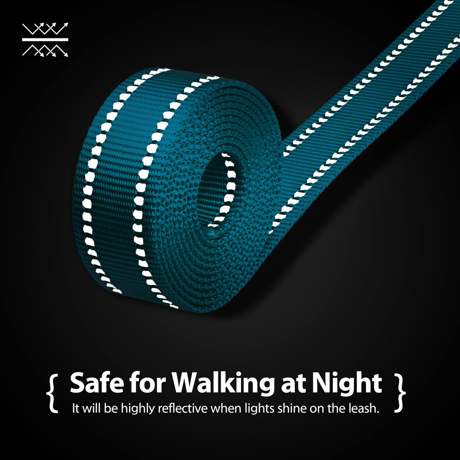 5 Feet Dog Leash with Comfortable Padded Handle Easy Snap Clasp - Reflective ...