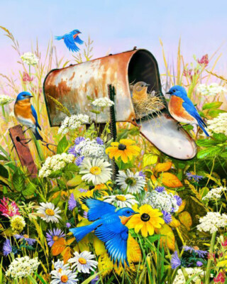 Springbok Blue Birds 36 Piece Jigsaw Puzzle By Greg Giordano