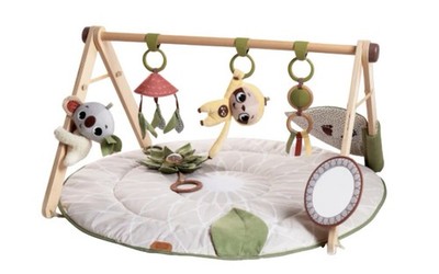 Tiny Love Boho Chic Luxe Developmental Gymini 20 Developmental Activities