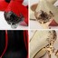 thumbnail 3 - Suede Ladies Point Toe Pumps Stiletto High Heels Work Slip On Party Women Shoes