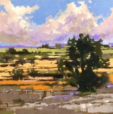 Chris Long The Long Painter Original Painting 'Overgrown Farmland' 8