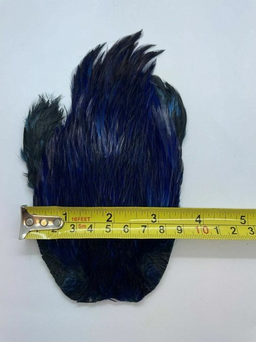 Plume de Cou de Coq Teinte de Montage de Mouches, 6 couleurs, Arts, artisanat - Photo 3/9
