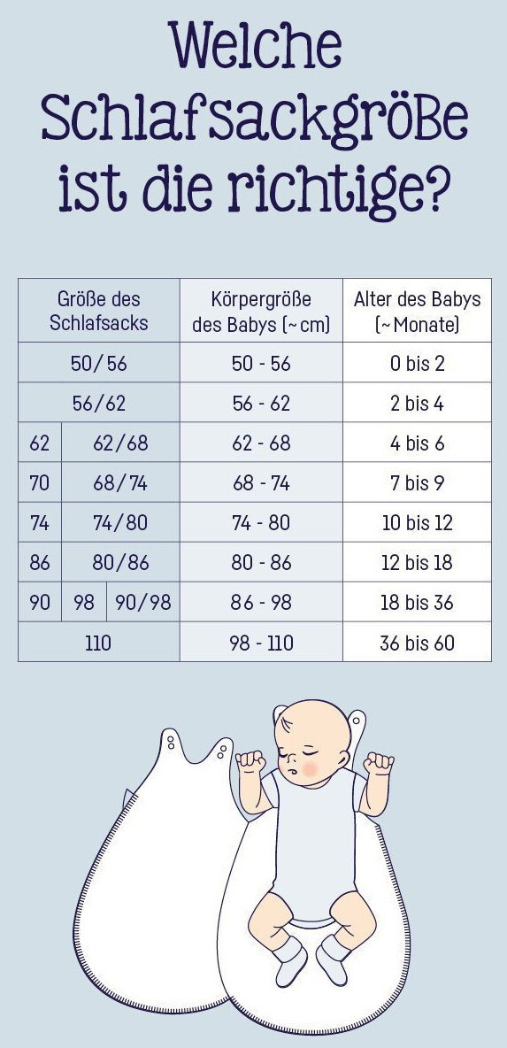 Bild 6 von 6
