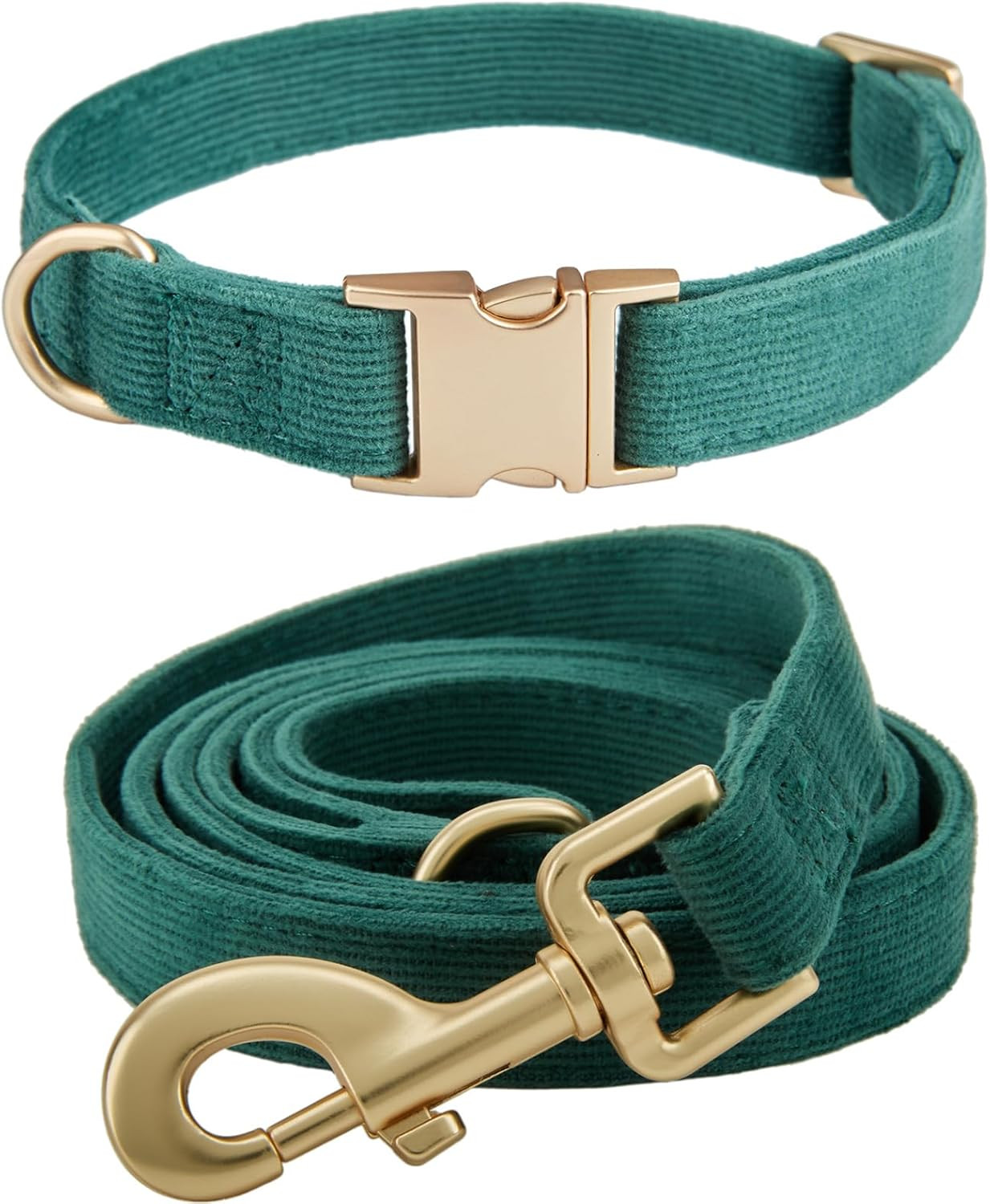 Set Professionale Collare e Guinzaglio Soft | Ergonomia per Cani Mini