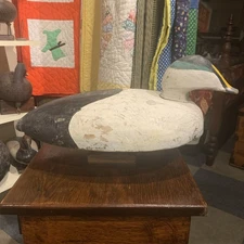 Vintage Eider Duck Decoy Upper New England Or Nova Scotia Large Pancake Style