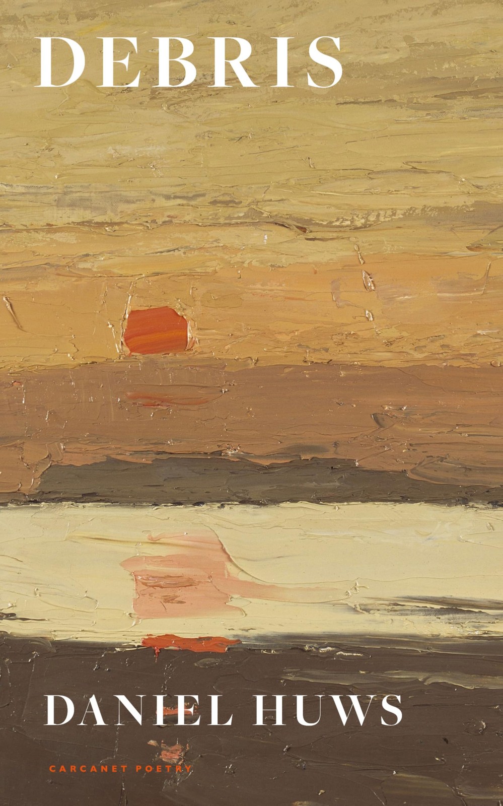 Debris by Daniel Huws - 9781800175228 - Image 6