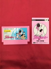 Coconut Japan Famicom Soft I LOVE Softball Used