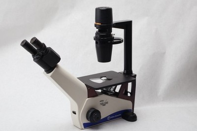FISHER SCIENTIFIC INVERTED MICROSCOPE 12-560-45