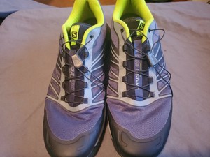 salomon wings pro 2 mens