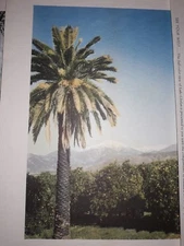  10 Standard Oil Company Advertising, MCm -  Art Prints - Columbia,CA/Western 