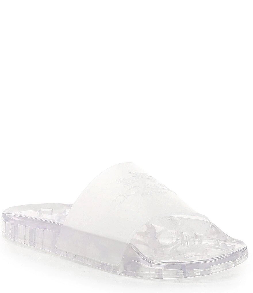 clear coach slides