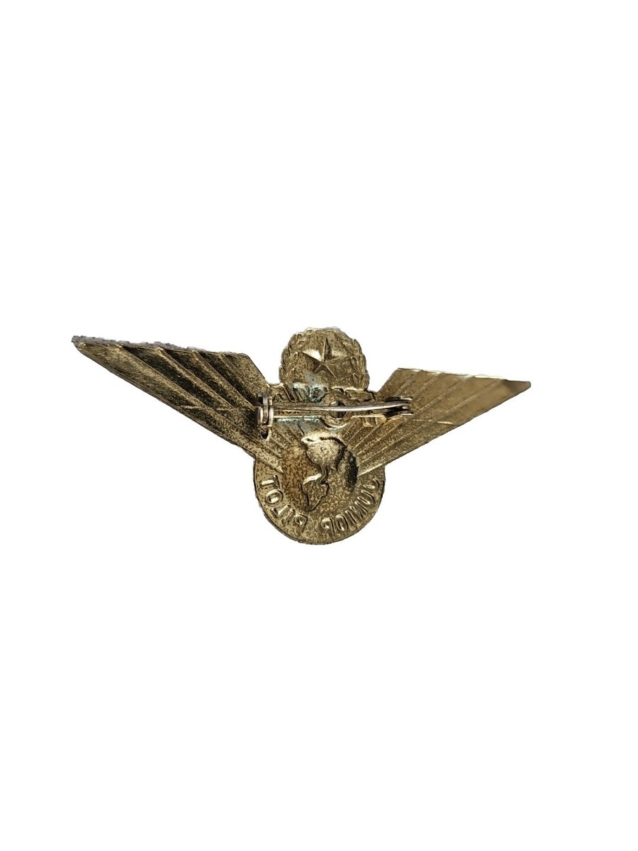 Vintage TWA Trans World Airlines Junior Pilot Metal Wings Pin Back