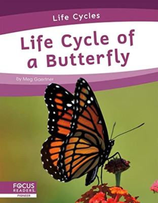 Life Cycles: Life Cycle of a Butterfly -  NEW Meg Gaertner 2021