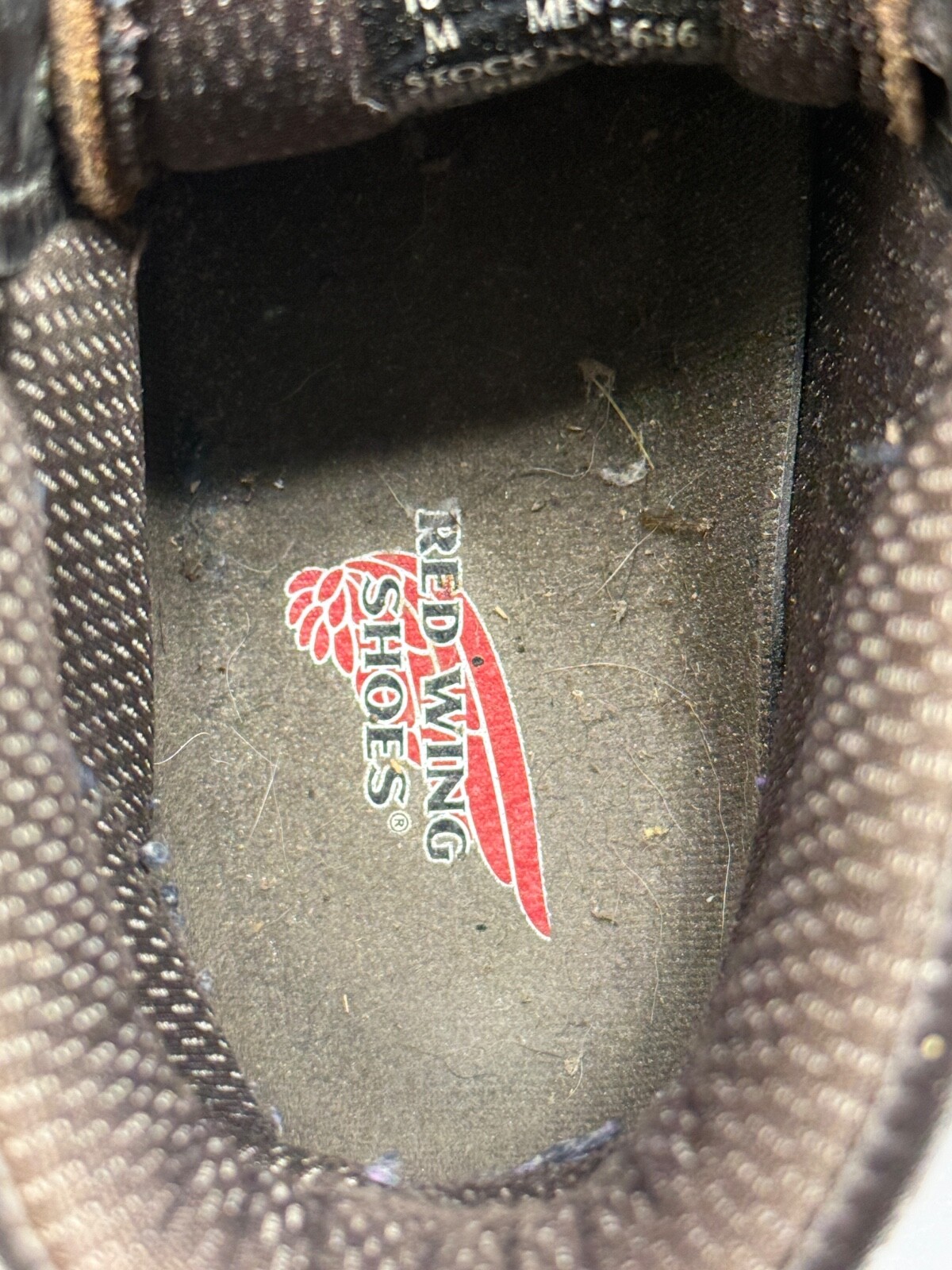 Picture 16 of 17