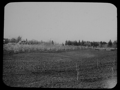 Magische Laternenfolie VICTORIA FRUIT RANCH BRITISH COLUMBIA UM 1910 FOTO KANADA