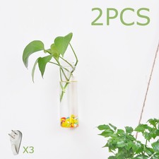 2Pcs Glass Tube Vase Hydroponic Wall Flower Vase Propagation Stations Wall