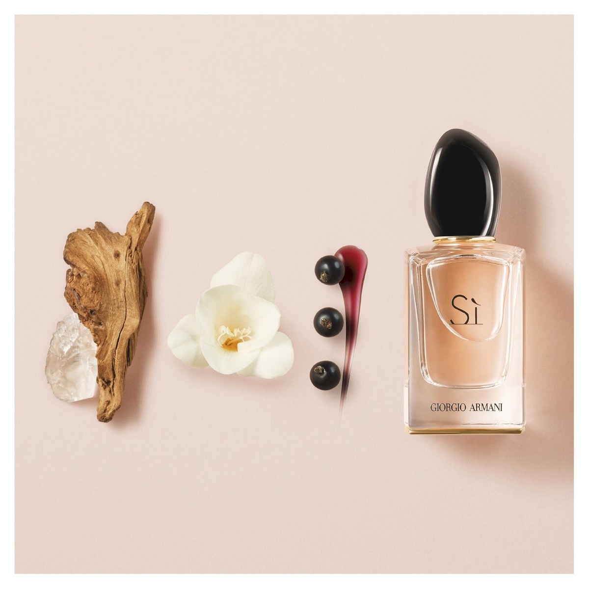 Giorgio Armani Si EDP 100ml 3605521816658| eBay