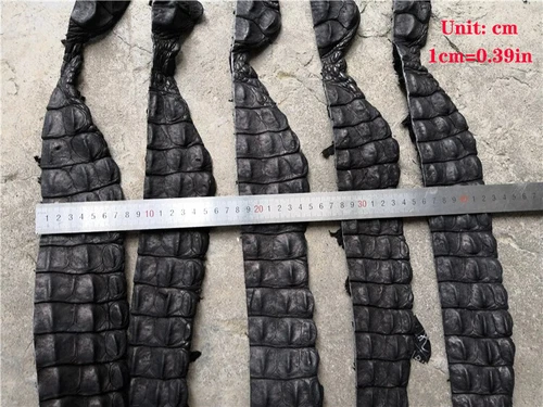 1X Real Crocodile Bone Leather Alligator Skin Hide Fish Bone Scraps DIY Keychain - Picture 7 of 10