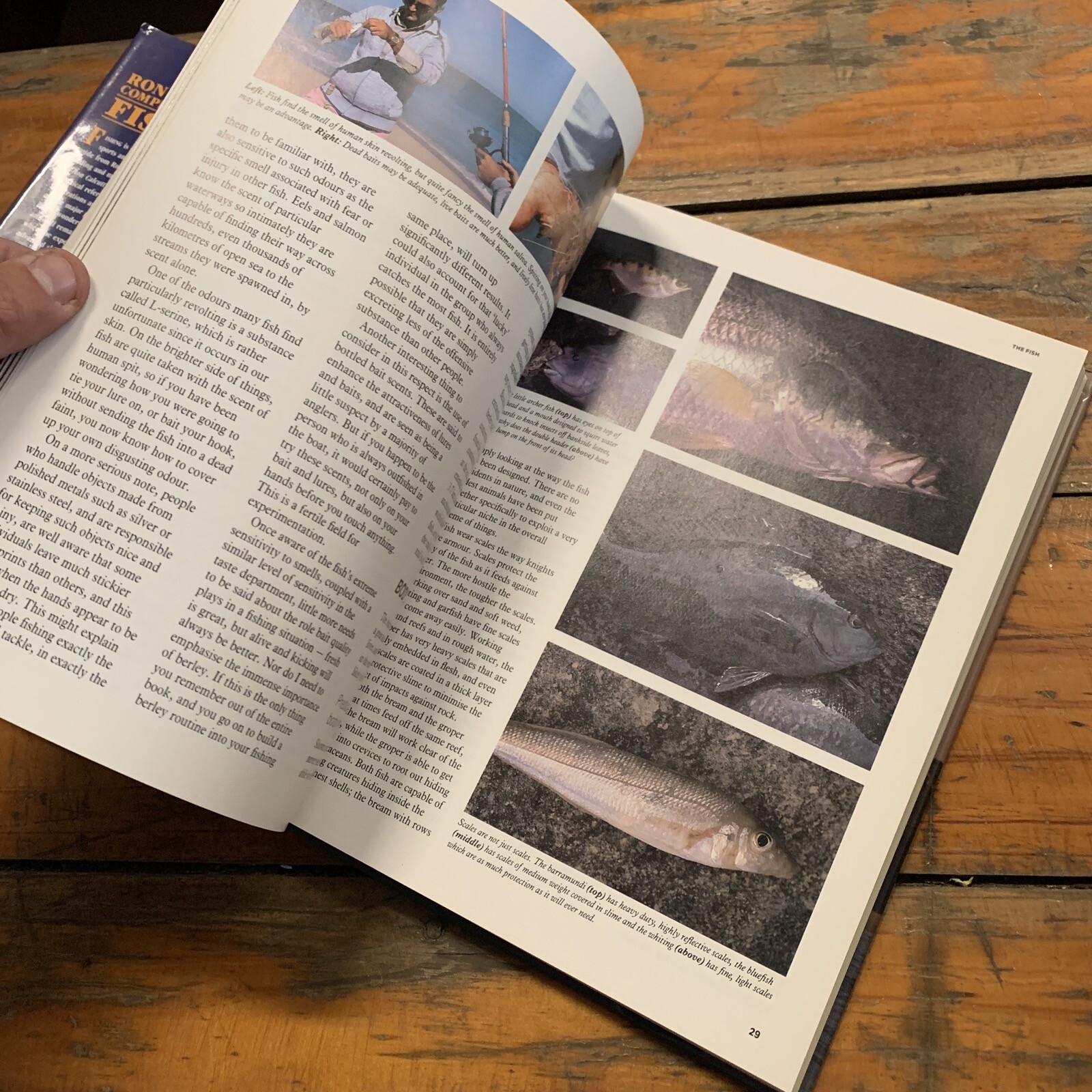 1991 "RON CALCUTT'S COMPLETE BOOK OF FISHING" BAIT TACKLE RIGGING