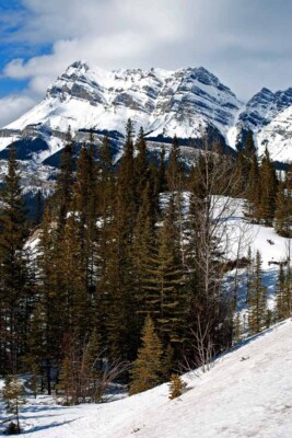 Canadian Rocky Mountains Icefields Parkway Kanada Foto Bilddruck