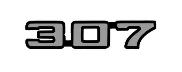 Par - 2 Colores 307 Calcomanía Emblema 5.0L V8 GM Chevy GMC Pontiac Oldsmobile Foto 3 de 4